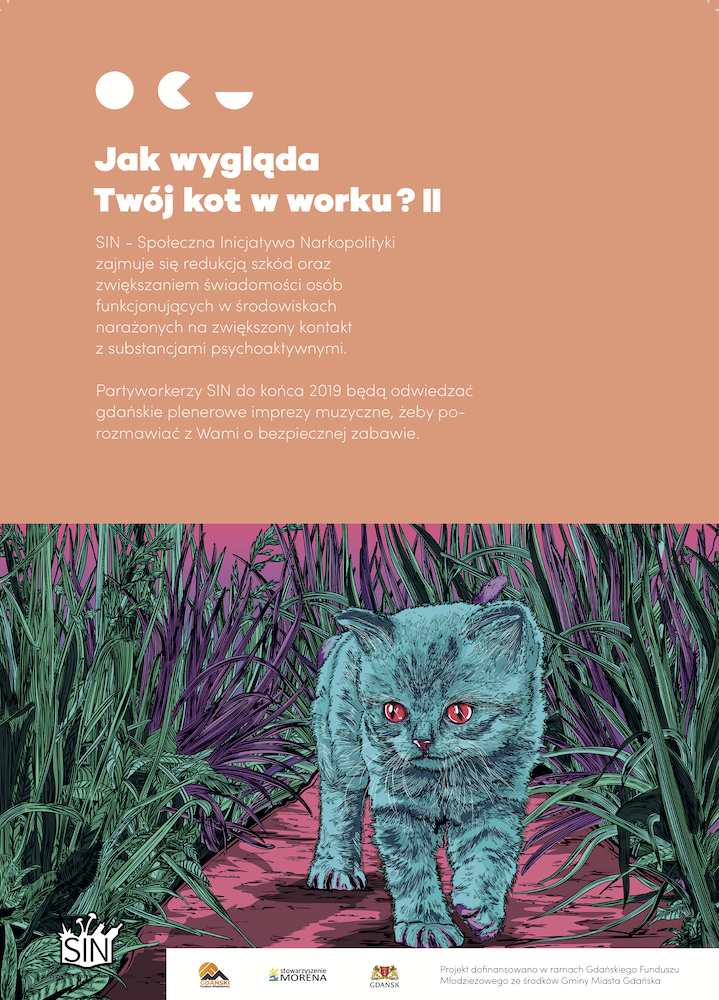 Kot w Worku (art: Mateusz Koy)